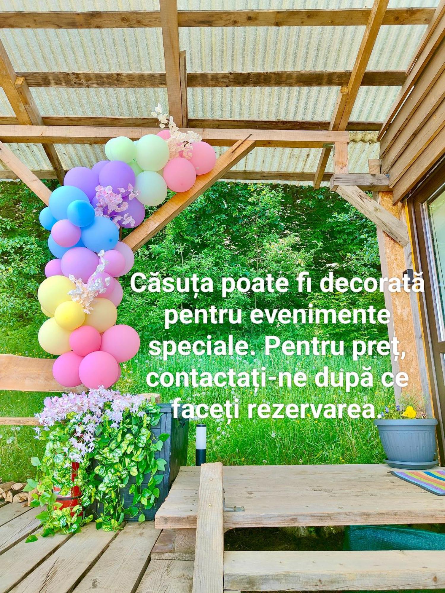 Tiny House Retreat Bran Bran (Brasov)